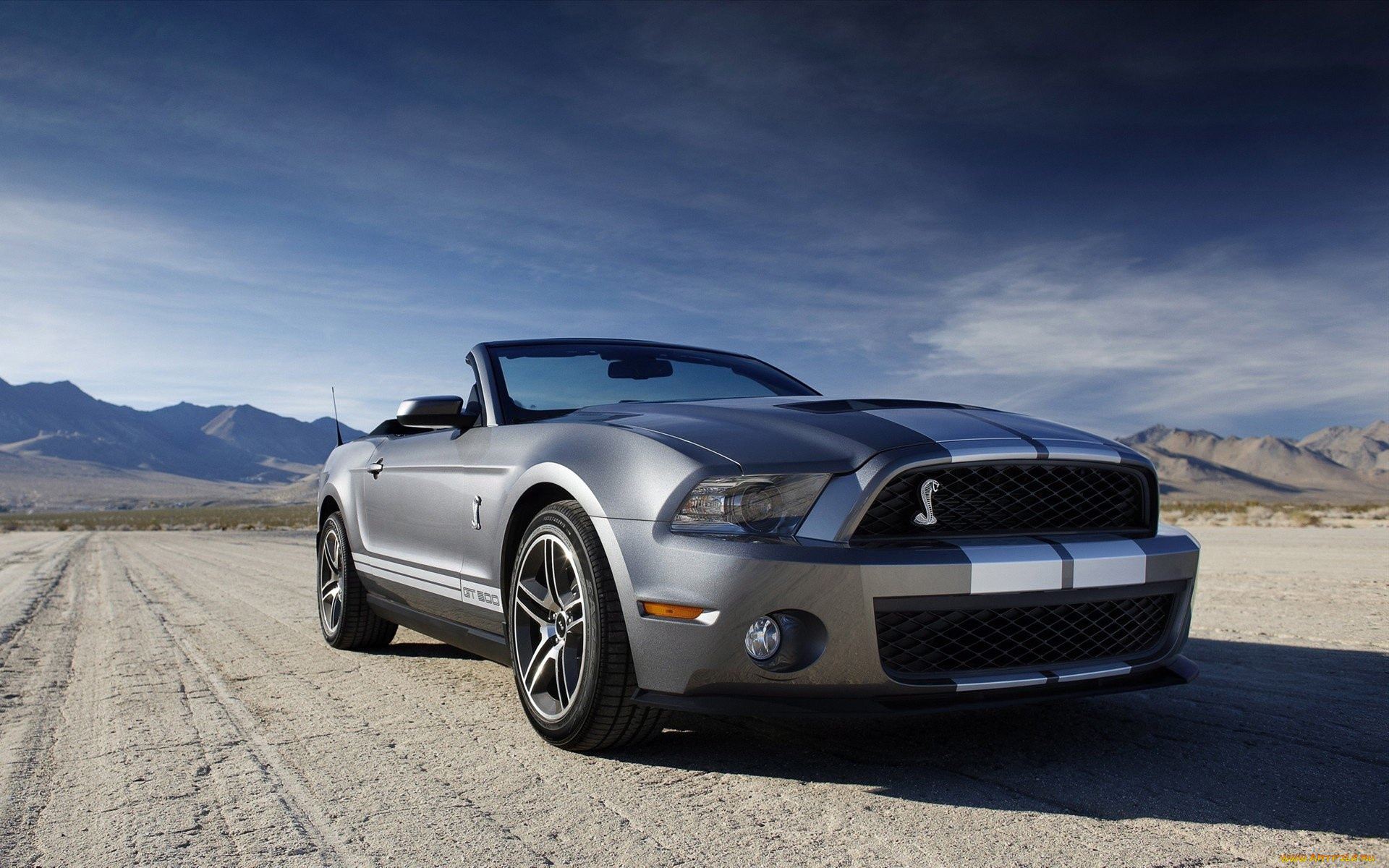 ford, shelby, , mustang
